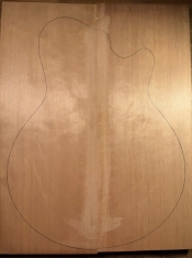 Arcus Archtop -  Suiboku